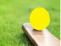 4% job reservation made mandatory for sportspersons in Group C posts