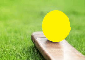 4% job reservation made mandatory for sportspersons in Group C posts