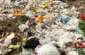 Assembly passes bill imposing fine upto ₹3 lakh for dumping trash