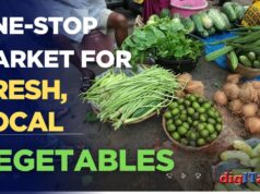 Panaji’s One-stop Market for Fresh, Local Vegetables