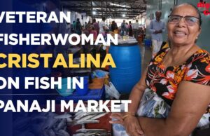 Veteran Fisherwoman Cristalina Speaks on Fish Prices and Panaji Market Trends