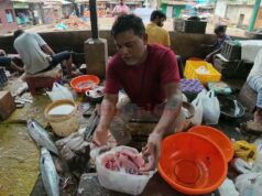 The Art of cutting Fish : skill , speed, and precision. panaji Fish Market
