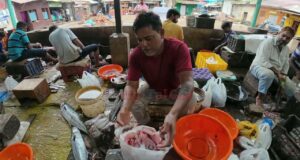 The Art of cutting Fish : skill , speed, and precision. panaji Fish Market