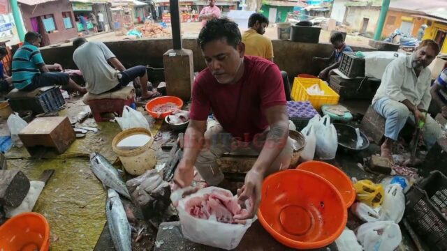 The Art of cutting Fish : skill , speed, and precision. panaji Fish Market