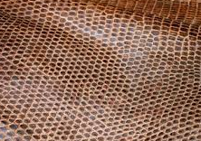 Mapusa man held with 47 monitor lizard skins in Forest Dept raid