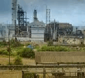 Sancoale Comunidade calls extraordinary meeting over Zuari Agro Chemicals matter