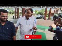 Goa’s Agriculture Minister unaware of elephant crop damage in Pernem