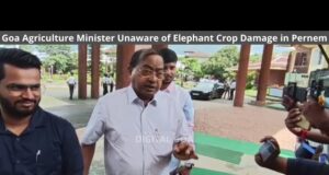 Goa’s Agriculture Minister unaware of elephant crop damage in Pernem