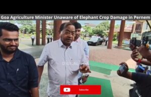 Goa’s Agriculture Minister unaware of elephant crop damage in Pernem