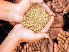 SMART-PDS software glitch delays foodgrain distribution at fair price shops
