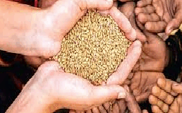 SMART-PDS software glitch delays foodgrain distribution at fair price shops
