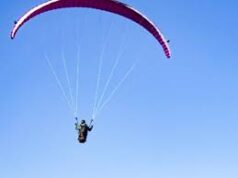 Paragliding parachute gets tangled in coconut trees at Varca beach; no injuries reported