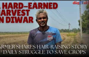 A Hard-Earned Harvest in Diwar