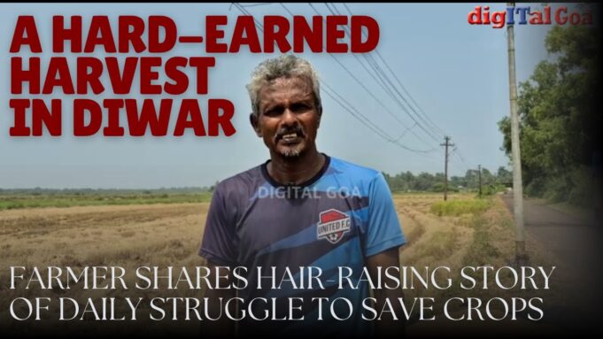 A Hard-Earned Harvest in Diwar