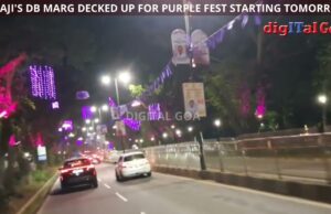 Panaji’s DB Marg decked up for Purple Fest starting today