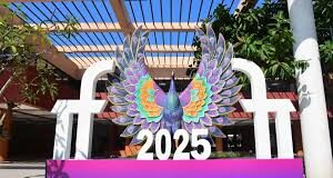 IFFI 2025: Vietnamese film ‘Skin of Youth’ bags Golden peacock award