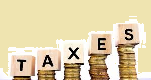 Goa among 7 states contributing more to Central taxes than what it receives back: Union Finance Ministry