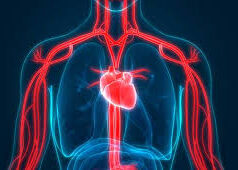 Railway police head constable dies on duty at Vasco station