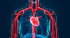 Railway police head constable dies on duty at Vasco station