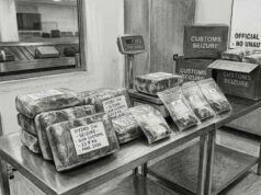 Five held with hydroponic weed worth Rs 8 crore at Manohar International Airport Representative image