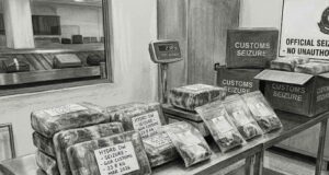 Five held with hydroponic weed worth Rs 8 crore at Manohar International Airport Representative image