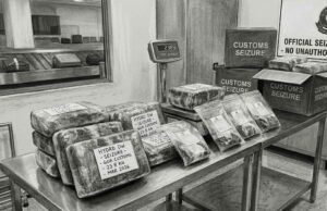 Five held with hydroponic weed worth Rs 8 crore at Manohar International Airport Representative image