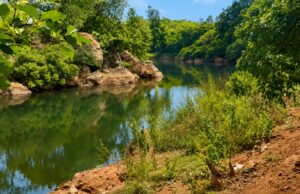 Administration orders preventive measures after IIT student drowning