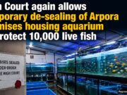 High Court again allows temporary de-sealing of Arpora premises housing aquarium to protect 10,000 live fish