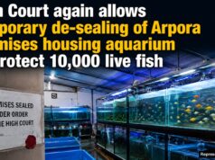 High Court again allows temporary de-sealing of Arpora premises housing aquarium to protect 10,000 live fish