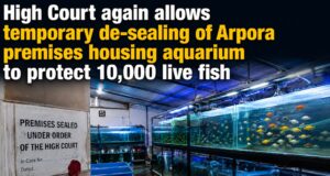High Court again allows temporary de-sealing of Arpora premises housing aquarium to protect 10,000 live fish