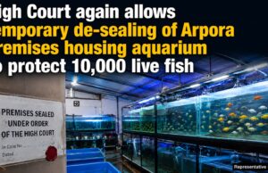 High Court again allows temporary de-sealing of Arpora premises housing aquarium to protect 10,000 live fish