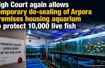 High Court again allows temporary de-sealing of Arpora premises housing aquarium to protect 10,000 live fish