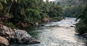 River jump proves fatal for 46-year-old Kolhapur native at Kalyem
