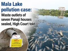 Mala Lake pollution case: Waste outlets of seven Panaji houses sealed, High Court told