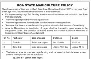 Fisheries Dept invites applications for open sea cage fish farming