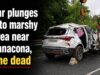 Car plunges into marshy field near Canacona, one dead