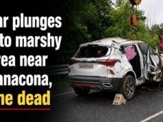 Car plunges into marshy field near Canacona, one dead