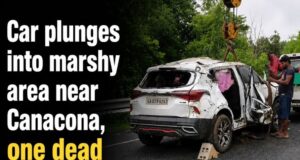 Car plunges into marshy field near Canacona, one dead