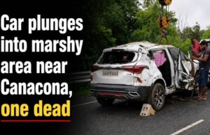 Car plunges into marshy field near Canacona, one dead