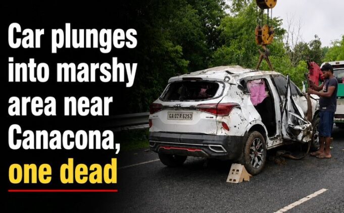 Car plunges into marshy field near Canacona, one dead