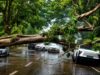 Monsoon finally gathers pace, leaves a trail of disruptions
