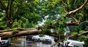 Monsoon finally gathers pace, leaves a trail of disruptions