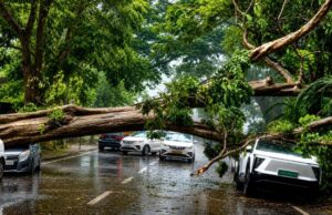 Monsoon finally gathers pace, leaves a trail of disruptions