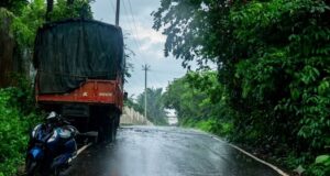 22-Year-Old youth dies in self-accident at Colvale