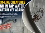 Worm like creatures found in tap water in Sattari yet again; Supply line flushed
