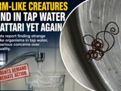 Worm like creatures found in tap water in Sattari yet again; Supply line flushed