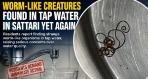 Worm like creatures found in tap water in Sattari yet again; Supply line flushed