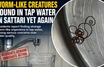 Worm like creatures found in tap water in Sattari yet again; Supply line flushed