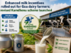 Enhanced milk incentives rolled out for Goa dairy farmers; revised Kamdhenu scheme launched