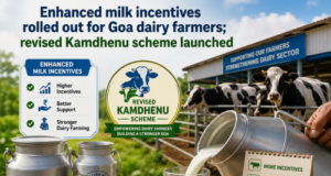 Enhanced milk incentives rolled out for Goa dairy farmers; revised Kamdhenu scheme launched